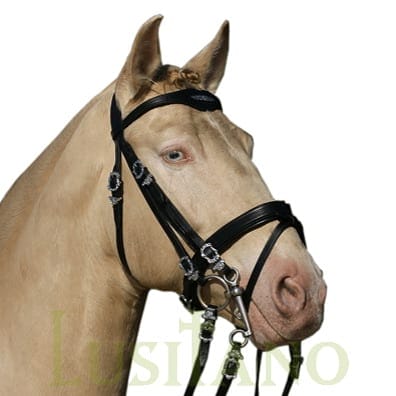 Combined Portuguese-English bridle BD