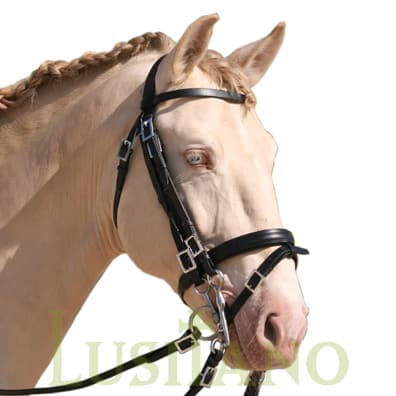 English Portuguese bridle D
