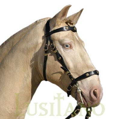 Portuguese baroque bridle