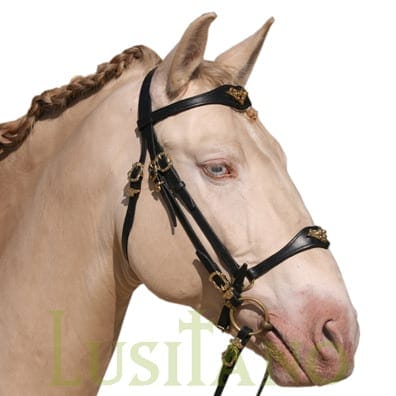 Combined Portuguese-German bridle B