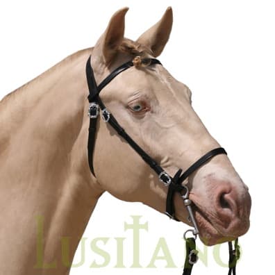 Portuguese bridle B