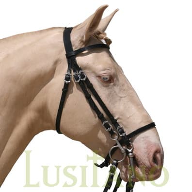 Portuguese bridle BD