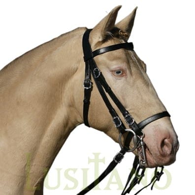 Portuguese bridle BDW