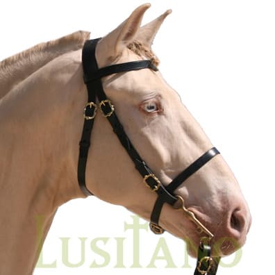 Portuguese bridle BW