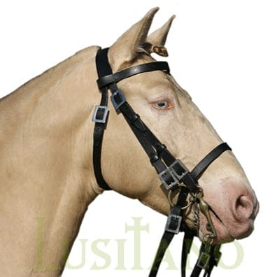 Portuguese bridle DW