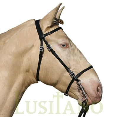 Portuguese bridle RB