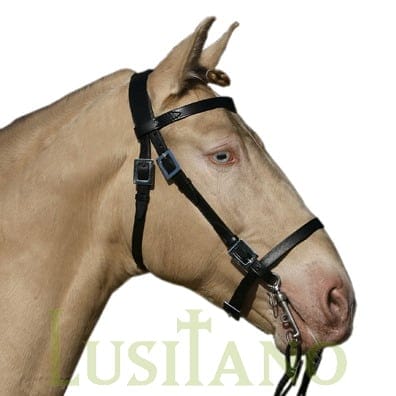 Portuguese bridle W