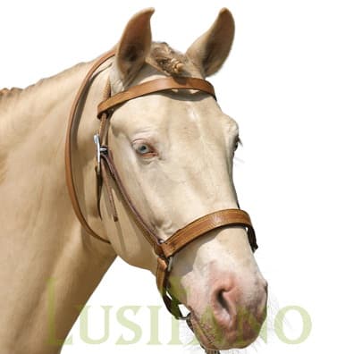 Portuguese halter