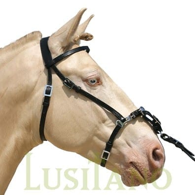 Portuguese show cavesson 2 rings