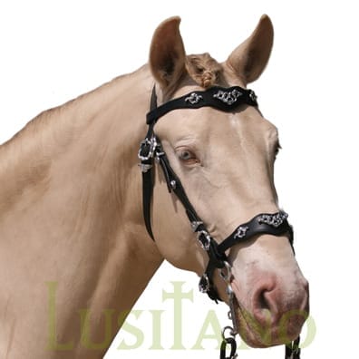 Traditional Baroque bridle