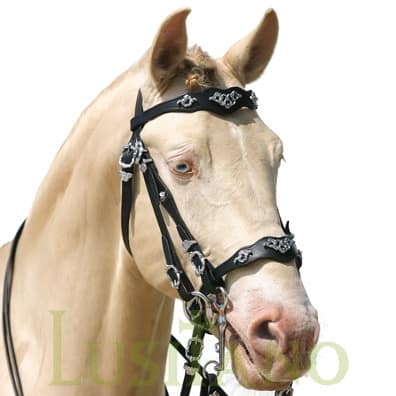 Traditional Baroque bridle D