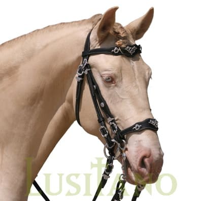 Traditional Baroque bridle WHS-D