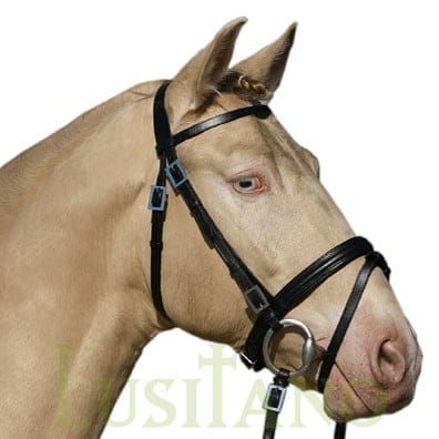 Combined Portuguese-English bridle