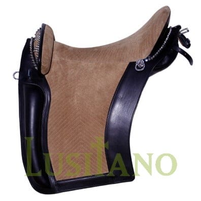 D. Dinis saddle