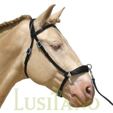 Leather noseband cavesson